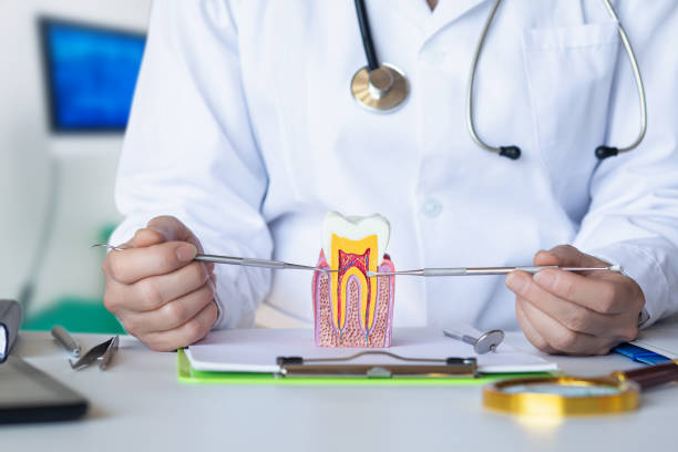 Best Broken or Chipped Tooth Repair in Twin Lakes, CA